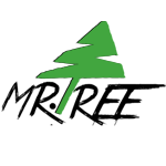 30-Color-طراحی-سایت-فروشگاهی-محصولات-چوبی-و-صنایع-دستی