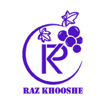 86-Color-طراحی-سایت-شرکت-بازرگانی-محصولات-ارگانیک