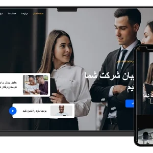 طراحی سایت شرکت خدمات مالی و مشاوره حقوقی