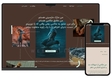 طراحی سایت رزومه و پرتفولیو عکاس و گرافیست و نقاش شخصی و اینفلوئنسر و آرتیست