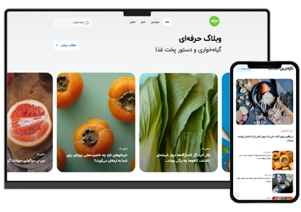 طراحی وبلاگ و وبسایت خبری